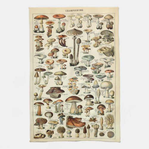 Vintage 1909 Mushroom Art by Adolphe Millot Kitchen Towel